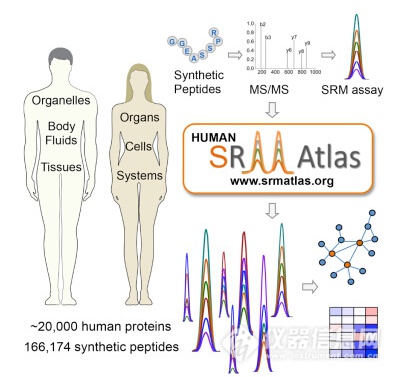 1479871050137684.jpg d500bc75-f833-4bf9-97bc-9613da0fb04a.jpg