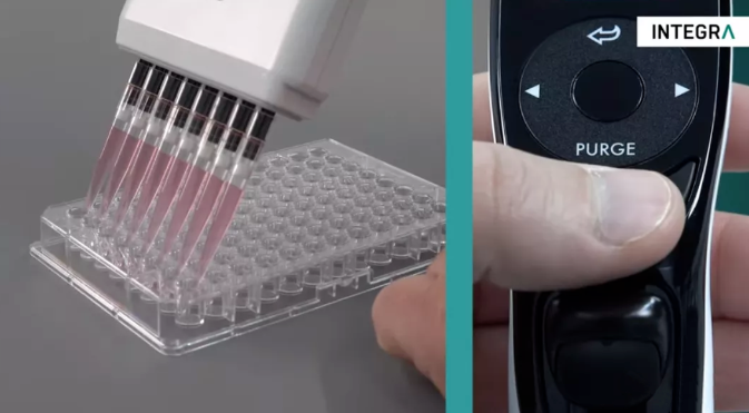 1591342695592042.png image.png